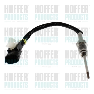 7452793 Hoffer