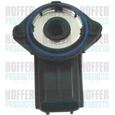 7513098 Hoffer