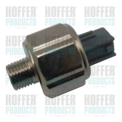 75175013 Hoffer
