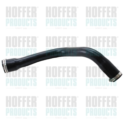 961006 Hoffer