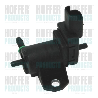 8029245 Hoffer