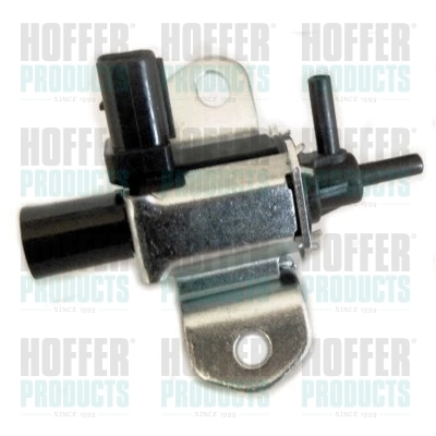 8029449 Hoffer