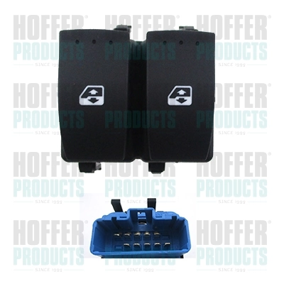 Comprar 2556100Q0F Nissan/Infiniti Interruptor de elevalunas delantera izquierda