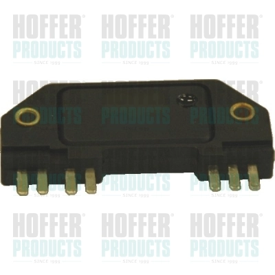 10015 Hoffer