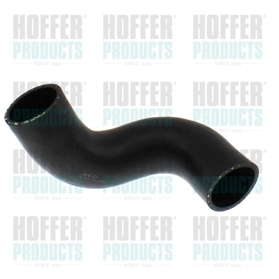 961606 Hoffer