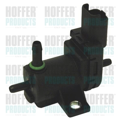 8029244 Hoffer