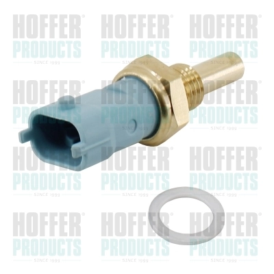 7472092 Hoffer