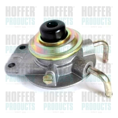 8029029 Hoffer