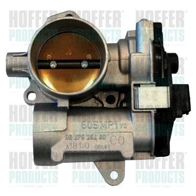 7519107 Hoffer
