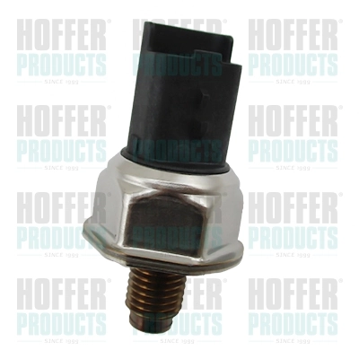 8029745 Hoffer