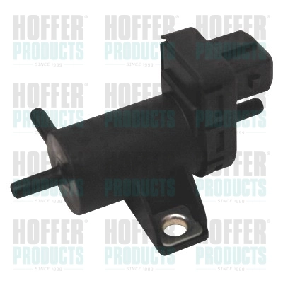 8029247 Hoffer