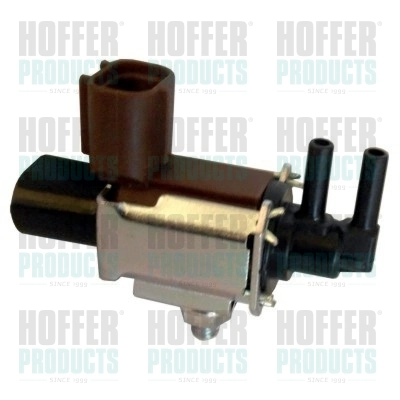 8029466 Hoffer
