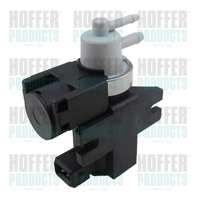 8029729 Hoffer
