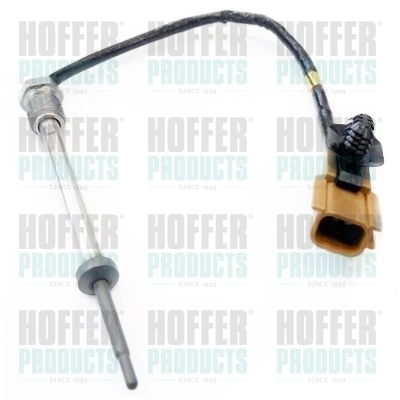 7452021 Hoffer