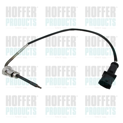 7452148E Hoffer