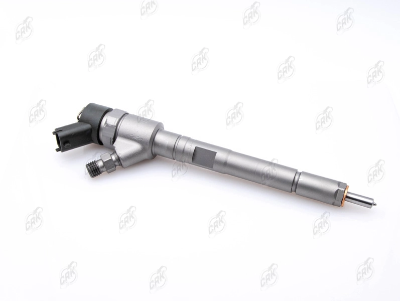 Inyector-bomba Citroen C4  (LC)