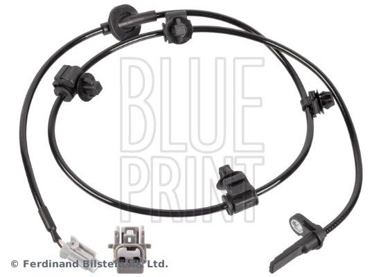 ADBP710051 Blue Print