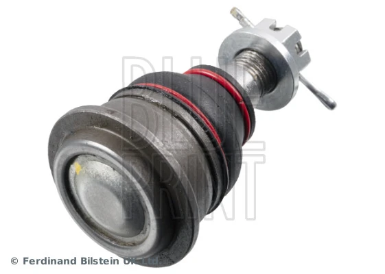 Rótula inferior de suspensión Nissan Primera sedán (P12) (2002 - 2008) precio, desde 11,88 EUR
