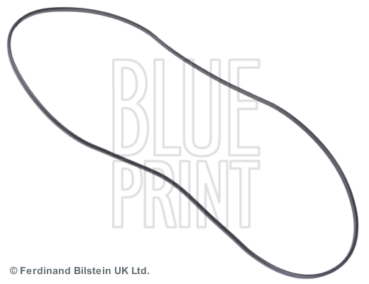 ADZ96717 Blue Print