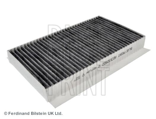 ADJ132502 Blue Print Filtro antipolen