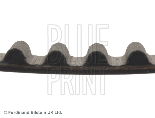 ADC47525 Blue Print Correa dentada