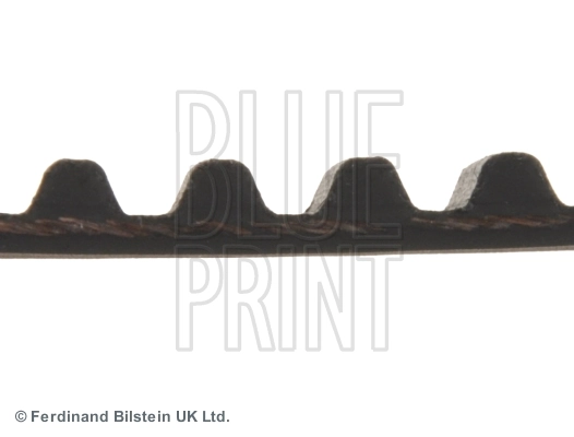 Comprar OK01612205 Hyundai/Kia Correa distribución
