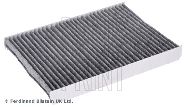 ADV182522 Blue Print Filtro antipolen