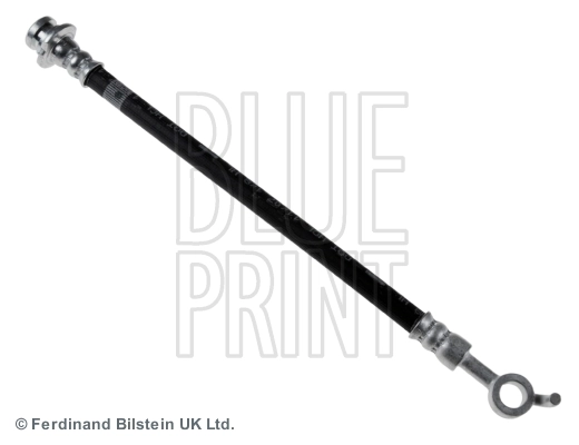 ADN153177 Blue Print