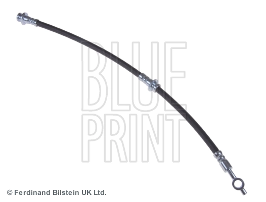 ADN153182 Blue Print