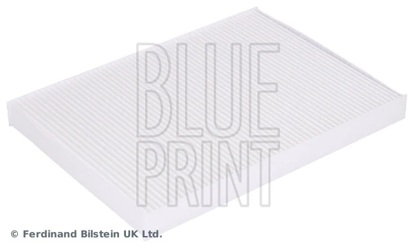 ADV182521 Blue Print Filtro antipolen