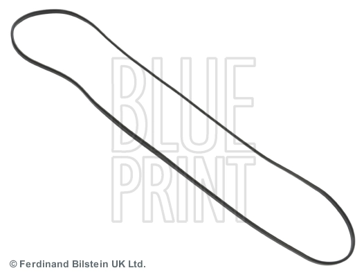 ADZ96713 Blue Print
