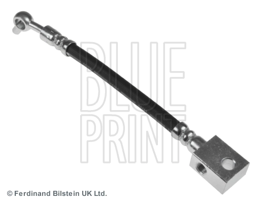 ADN153252 Blue Print