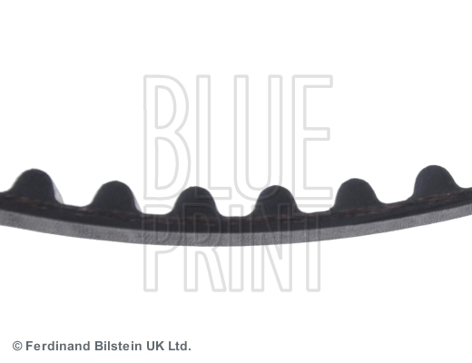 ADS77503 Blue Print Correa dentada