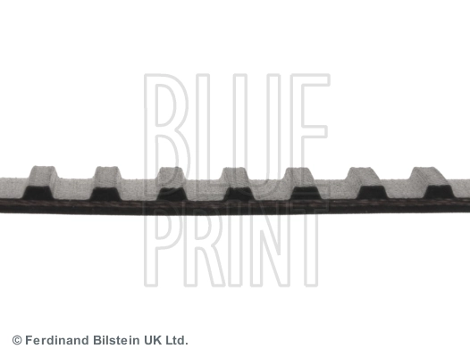 ADN17511 Blue Print Correa dentada