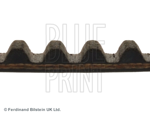 Comprar 92065902 Peugeot/Citroen Correa distribución