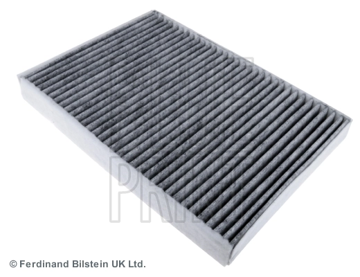 ADJ132508 Blue Print Filtro antipolen