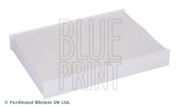 ADN12539 Blue Print Filtro antipolen