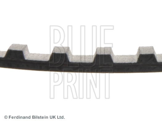 ADT37501 Blue Print Correa dentada