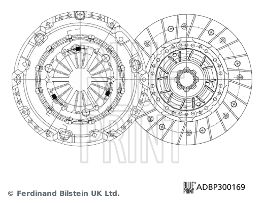 ADBP300169 Blue Print