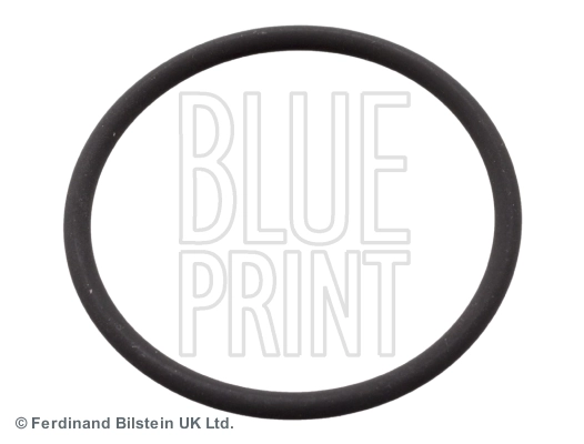 ADN16144 Blue Print
