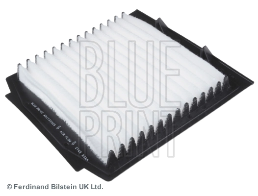 ADJ132505 Blue Print Filtro antipolen