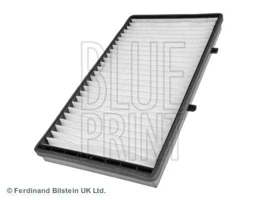 ADN12509 Blue Print Filtro antipolen