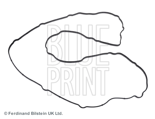 ADZ96719 Blue Print