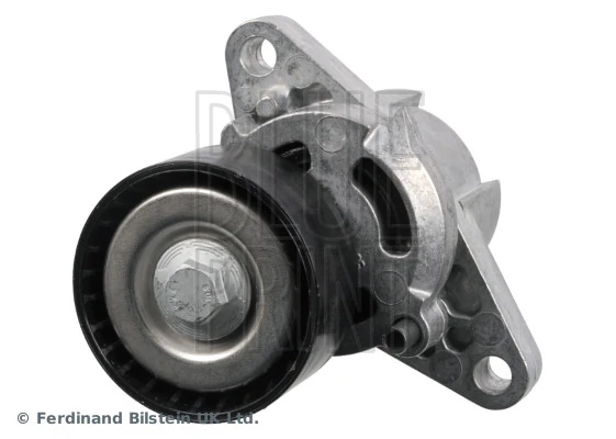 Tensor de la correa trapecial Renault Clio SYMBOL sedán (LB0, LB1, LB2) (1998 - 2008) precio, desde 39,02 EUR
