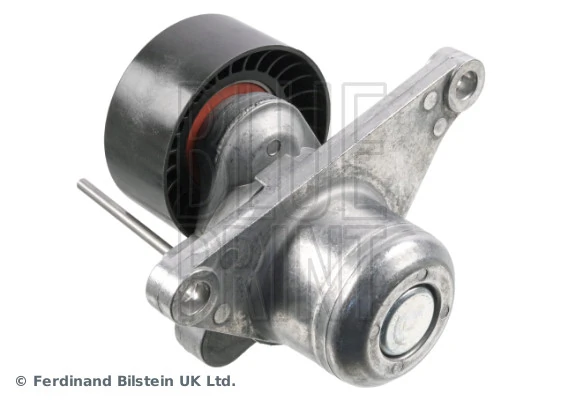 Tensor de la correa trapecial Renault Scenic II monovolumen (JM0, JM1) (2003 - 2009) precio, desde 32,29 EUR