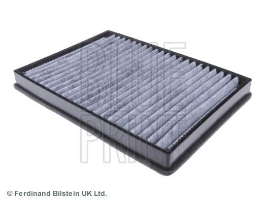 ADG02579 Blue Print Filtro antipolen