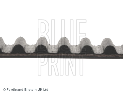 ADC47512 Blue Print Correa dentada