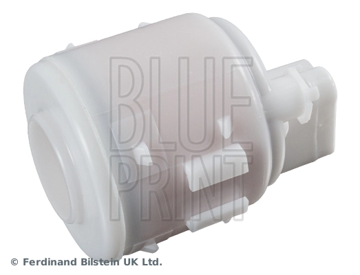 ADN12345 Blue Print