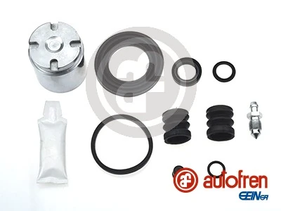 D41198C Autofren