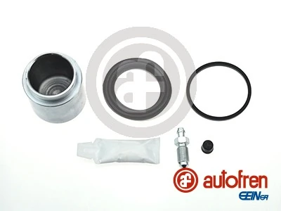 D41061C Autofren